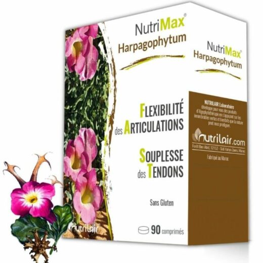 nutrimax harpagophytum 90 comprimes | urban drug store