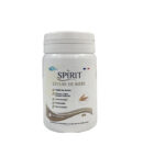 Spirit Levure de biere 120gelules