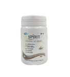 Spirit Levure de biere 120gelules