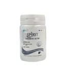 Spirit Charbon Actif 30gelules