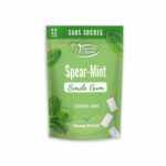 Denti-smile-chewing-Gums-menthe-fraiche-sans-sucres-32-gums