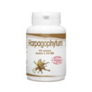 GPH Harpagophytum Bio 100 Gelules