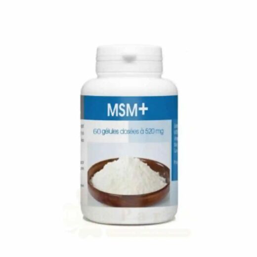 GPH MSM 520mg 60gelules | Urban Drug store
