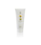 Massada Masque Peaux Grasses et Acnéiques 100ml
