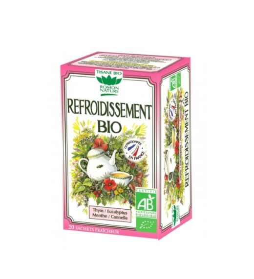 ROMON NATURE INFUSION REFROIDISSEMENT 20 SACHET | Urban Drug store