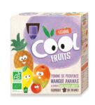 VITABIO-COOL-FRUITS-POMME-MANGUE-ANANAS-490G