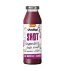 VOELKEL SHOT GINGEMBRE FRUITS ROUGE 280ML