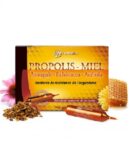 YVES PONROY API CONSEIL AMPOULES PROPOLIS - MIEL - ASTRAGALE - ECHINACÉE - ACÉROLA Boite de 20 Ampoules