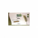 GPH Diffusion Prele 20 Ampoules*15ml
