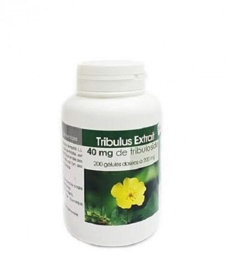 gph diffusion tribulus extrait 200 gelules 1 | Urban Drug store