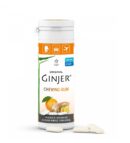 GINJER CHEWING-GUM GINGEMBRE ORANGE 30 G