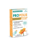3Chenes Propolis Pastilles a sucer Boite de 40 Pastilles