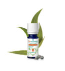 Puressentiel Huile Essentielle Eucalyptus Globuleux BIO 10ml