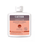 shampooing-romarin-1