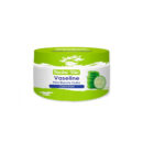 Racine Vita Vaseline Concombre 100g