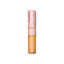 Maybelline Lifter Conceal 60 11ml