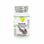 Vit'all+ Gattilier 90 Gelules