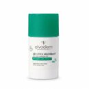 Alvadiem Deodorant Absorbant 48h 50g
