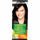 GARNIER 1