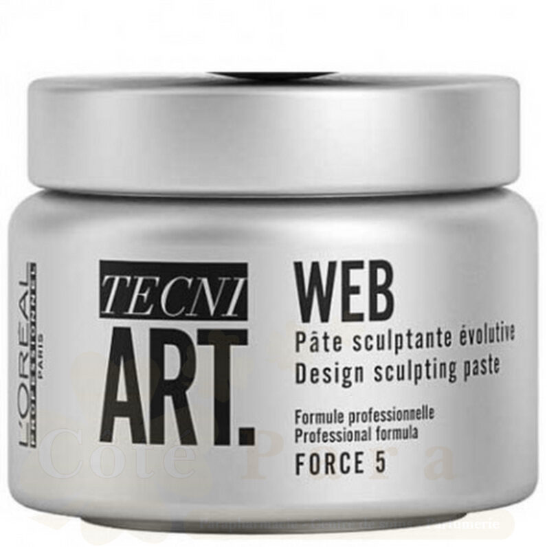 L'OREAL PROFESSIONNEL TEC NI ART WEB FORCE 5 150ML 1 L'OREAL PROFESSIONNEL TEC NI ART WEB FORCE 5 150ML