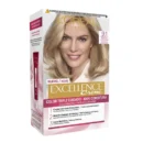 EXCELLENCE 9.1