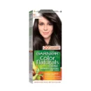 GARNIER 4.1