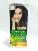 GARNIER 2.1