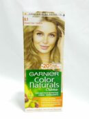 GARNIER 8.1