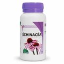 Mgd Echinacea 120 gélules