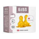 Bibs 2 Tetines Round Latex Slow Flow