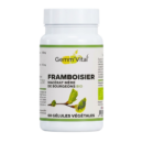 Gemm'Vital Bourgeon De Framboise 60 Gelules